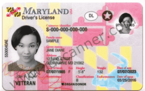 Maryland Protected. Maryland Proud. Maryland License Modernized.