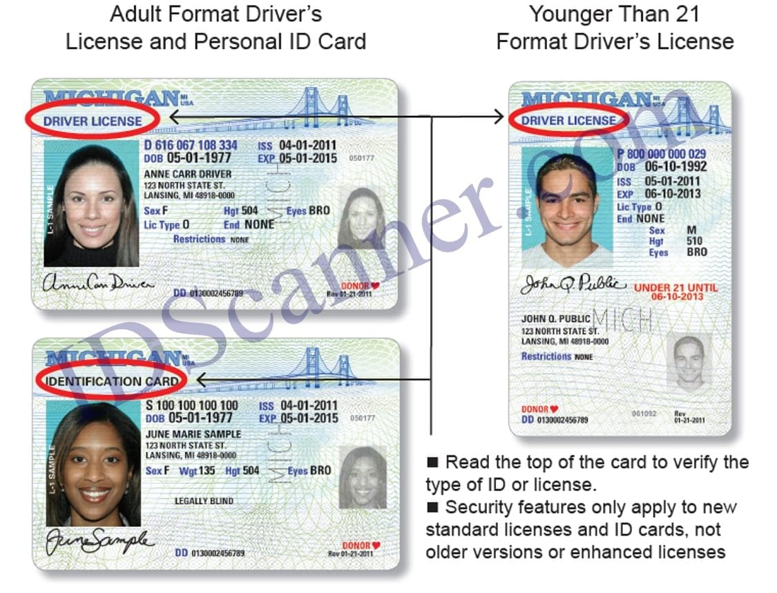 michigan driver license types