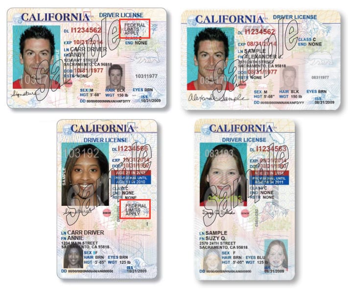 california drivers license number generator
