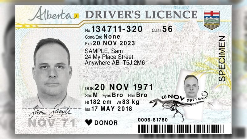 can i download soft copy of driving licence