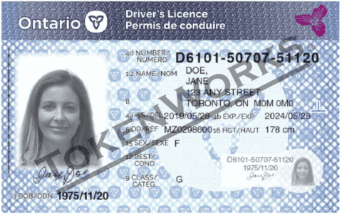 Ontario Redesigns Driver's License Cards To Prevent Fraud & Identity Theft